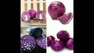 TOP 5  HIGH  VITAMIN-C  VEGETABLES