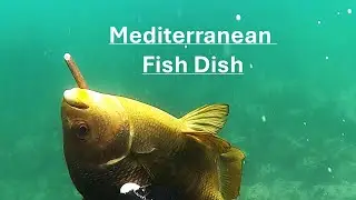 HOW TO FREEDIVE-SPEARFISH CA Vol. 27: Rent or Buy Gear?