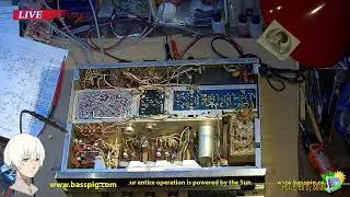 basspig Live Stream