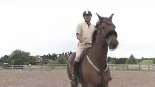 StableMate Equine TV: EP 6 - Difference between collection and going slow