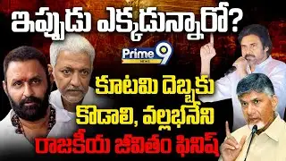 కూటమి దెబ్బకు కొడాలి, వల్లభనేని రాజకీయ జీవితం ఫినిష్ | Kodali Nani | Vallabhaneni Vamsi | TCR