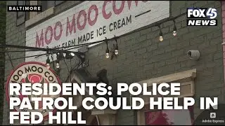After recent Federal Hill vandalism, residents say new police patrol could help