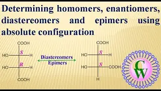 Determining homomers, enantiomers, diastereomers and epimers using absolute configuration