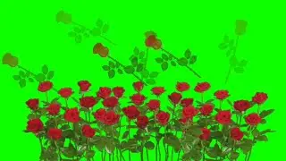 Rounding Flowers green screen video Effects 2019 Teelsingh
