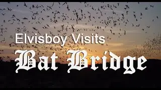 Elvisboy visits Bat Bridge in Valle Vista near Hemet