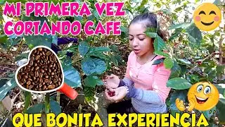 CORTANDO CAFÉ EN CHALATENANGO, EL SALVADOR. Un recorrido por los cafetales😍 P 10