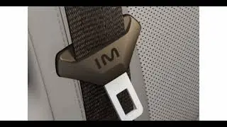 IM LS7's Seatbelt