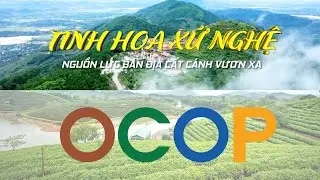 Tinh hoa xứ Nghệ, nguồn lực bản địa cất cánh vươn xa
