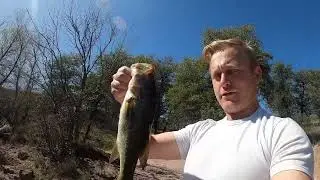 Limit -A - La Largemouth !!