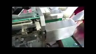 Automated Packaging Loading Facial Cream Tubes into Trays and Cartons
