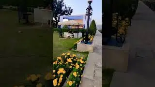 Hari palace jammu #trending #viral #ytshorts #shorts #jammu #themooddust #haripalacejammu