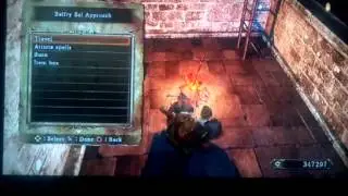 Dark Souls II - Tseldora Armor & Soul Increase