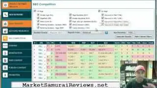 Market Samurai Review   SEO Competition