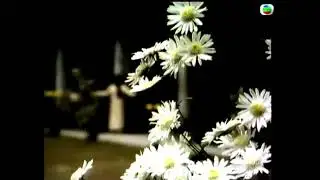 廣州流花湖 《魔劍俠情》羅文 1979年 羊城賀歲萬家歡