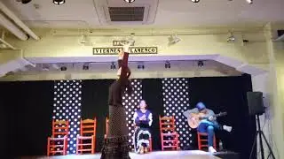 バンベーラ 20251222