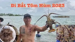 Đi Bắt TÔM HÙM Florida 2023 | Florida Lobster Mini-Season 2023 | LuuLinh TV