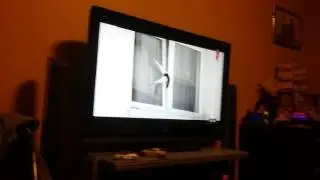 +100500 кот застрял в окне