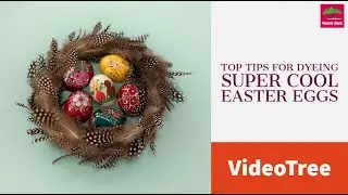 Creative Easter Egg Coloring Tips ! Best Ways to Dye Easter Eggs ! Cool Tips to Awesome Easter Eggs