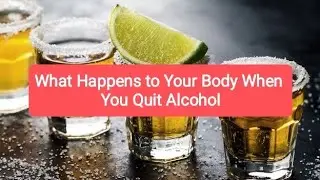 What Happens to Your Body When You Quit Alcohol &ndash; A Timeline Based on Science