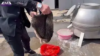 cattle and sheep stomach cleaning machine-（ test video）