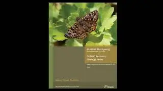 Conserving Mottled Duskywing with Jessica Linton | 11 May 2020