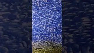 DAPACU Multidimensional Painting 😍 Pause ⏸️ Observe Deeply, To Get in 😁 Painted MACRO 💟 Arte.Art 💟
