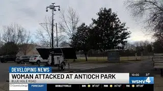 Woman attacked on same Nashville greenway where Alyssa Lokits was killed
