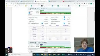 How to read the Edgenuity Progress Report