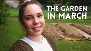 Мартовский тур по садам 🌱🌿 Создание пермакультурного сада в умеренном климате Австралии