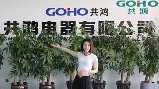 Company Introduction of Goho