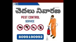 Pest Control service Near me. Pest control service call us #pest #pestcontrol #1m #subscribe #viral