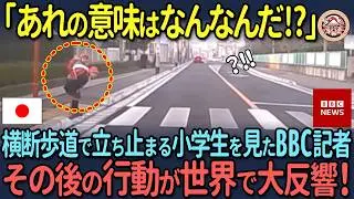 【海外の反応】「日本の教育は狂っている!?」横断歩道で立ち止まる小学生を見た外国人　その後の行動に世界で大反響！