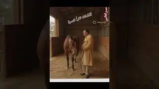 الجانب الآخر/حسن الطلبي)hassa talbi