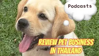 PET related business overview  in Thailand PODCASTS