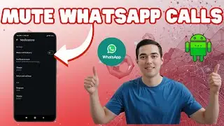 Как отключить звук входящих звонков в WhatsApp &mdash; для начинающих