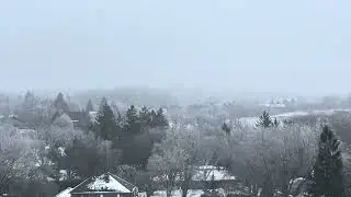 Frozen Nature 🌨️Freezing Rain 🌨️❄️Severe Weather 🇨🇦Ontario