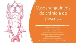 Vasos sanguíneos crânio e pescoço