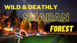 WILD OFFROAD | TREKKING | CAMPING AT WILD SHARAN FOREST | NORTH PAKISTAN MOTORCYCLE TOUR