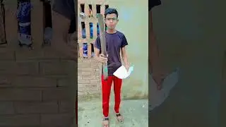 Harami Students 😂#funnyvideo #funny #shorts