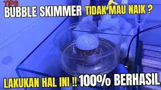 TIPS MENGATASI BUBBLE PROTEIN SKIMMER TIDAK MAU NAIK !! LAKUKAN HAL INI 100% PASTI BERHASIL