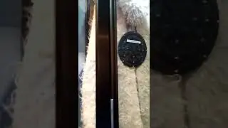 #Музей_МВД#Подарок_Таджикистана#Портрет_Брежнева_из_риса#shorts#news#video#like#viral#games#travel