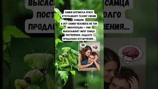 #мужжена #семья #юмор
