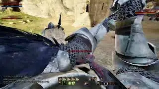 Mortal Online 2 /  North Order Russian Valkyrja vs Nonfactor
