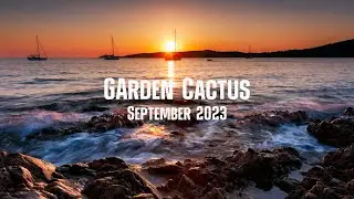 Garden Cactus Presents: September 2023 Lineup | Dance, Deep House, Chill & Pop