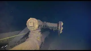 Diving Newfoundland