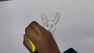 Draw Rabbit With 200