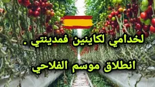 هادو هوما الخدامي لكاينين فمدينتي . خدمة موجودة .