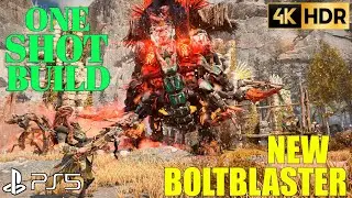 One Shot Eternal Vengeance Boltblaster Build HORIZON FORBIDDEN WEST BURNING SHORES Build | HFW Build