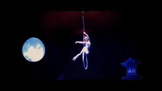 Rosemary Le | Aerial Hoop | 