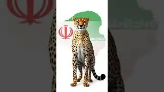 10 Interesting Facts You Should Know
